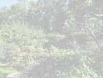 Achtergrond